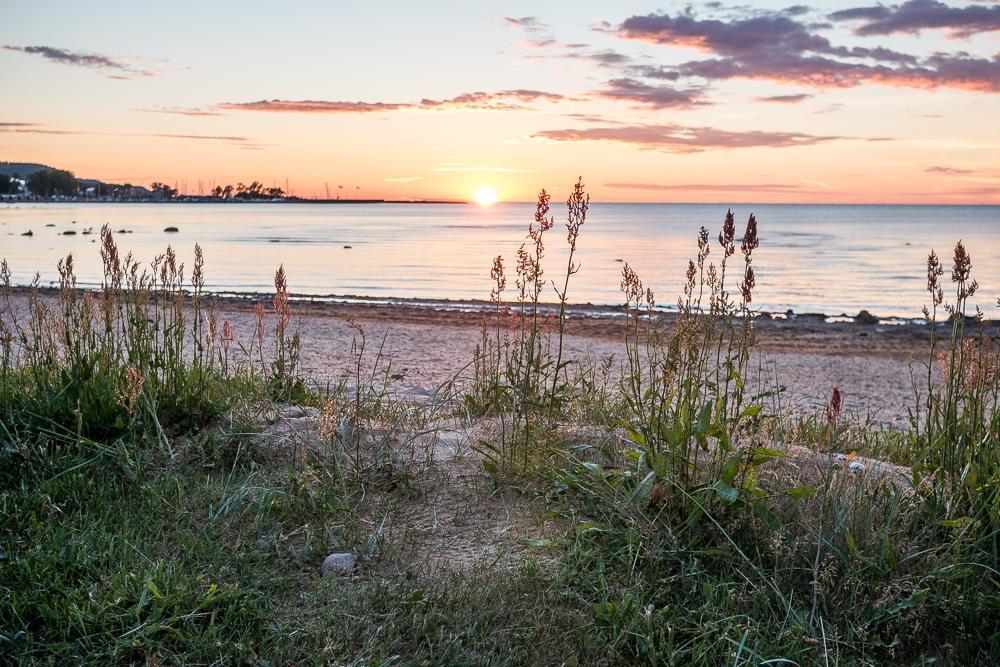 Båstad Vandrarhem Exteriör bild